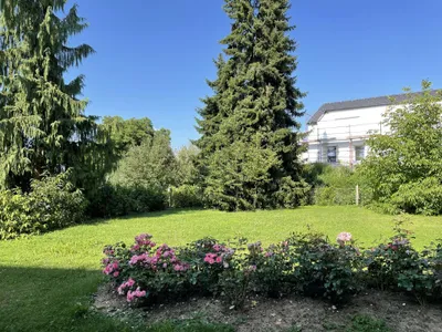 1-Zimmer-Wohnung mieten in Vöcklabruck – 19 m², € 499 – Bild 12 von 19