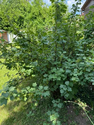 3-Zimmer-Haus mieten in Weiz – 125 m², € 1.150 – Bild 26 von 49