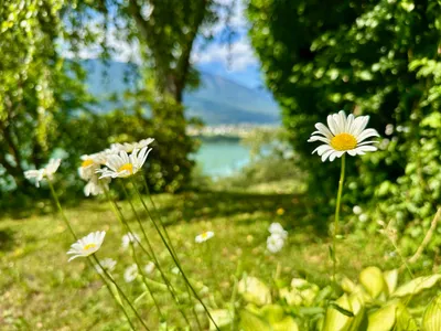 7-Zimmer-Haus kaufen in Klagenfurt Land – 248 m², € 690.000 – Bild 26 von 37