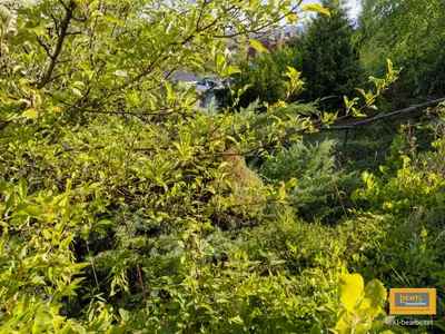 Grundstück kaufen in Bruck an der Leitha – 1 856 m², € 599.000 – Bild 6 von 6