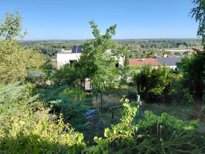 Grundstück kaufen in Bruck an der Leitha – 1 856 m², € 599.000 – Bild 5 von 6