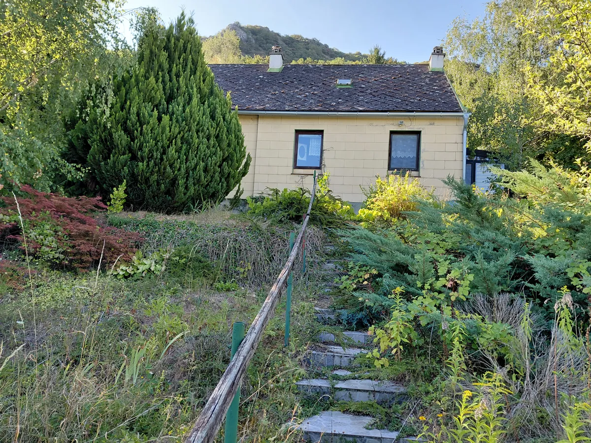Carnuntumstraße- großer Grund mit Altbestand- Donaublick in Hainburger Bestlage - Ansicht 2