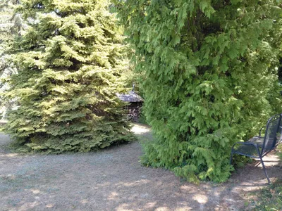 Grundstück kaufen in Bruck an der Leitha – 1 856 m², € 599.000 – Bild 3 von 6