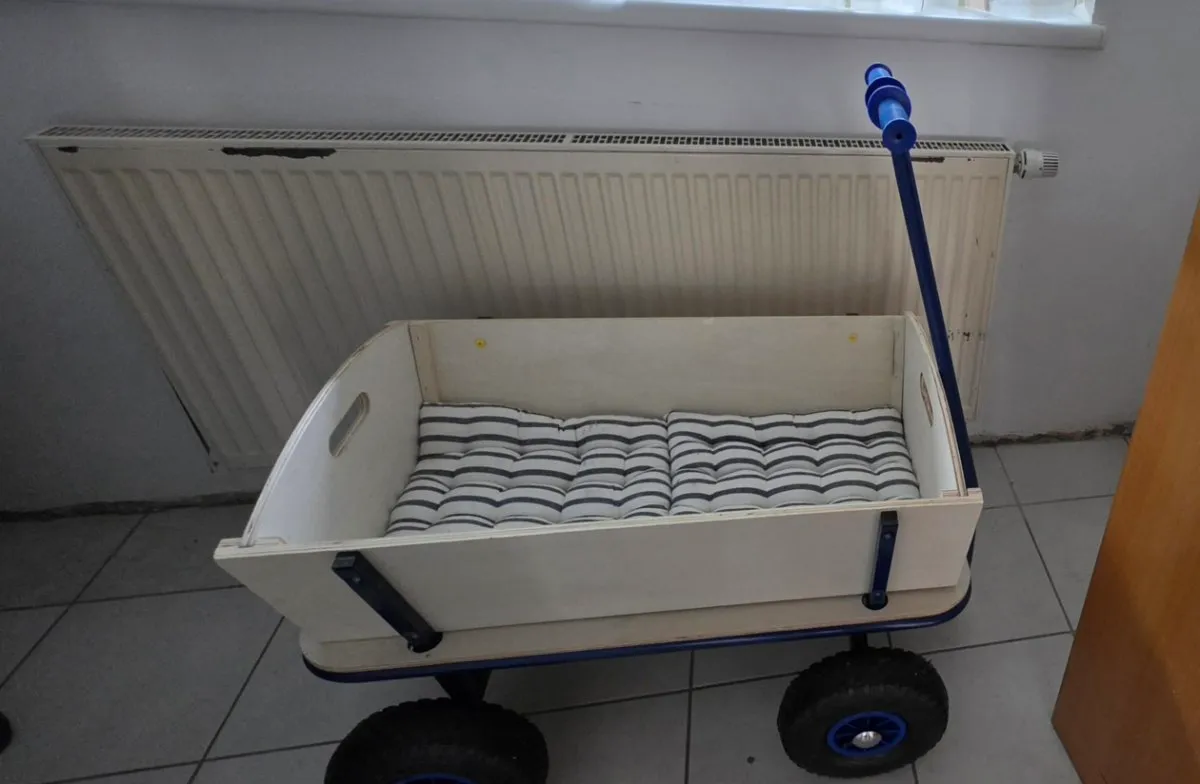 Bollerwagen kaufen
