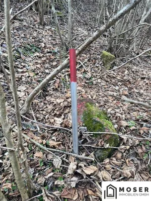 Immobilie kaufen in Murau – Bild 9 von 18