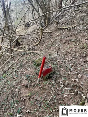 Immobilie kaufen in Murau – Bild 5 von 18