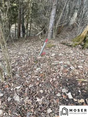 Immobilie kaufen in Murau – Bild 10 von 18