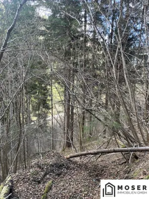 Immobilie kaufen in Murau – Bild 6 von 18
