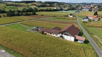 Haus kaufen in Südoststeiermark – 295 m², € 290.000 – Bild 4 von 45