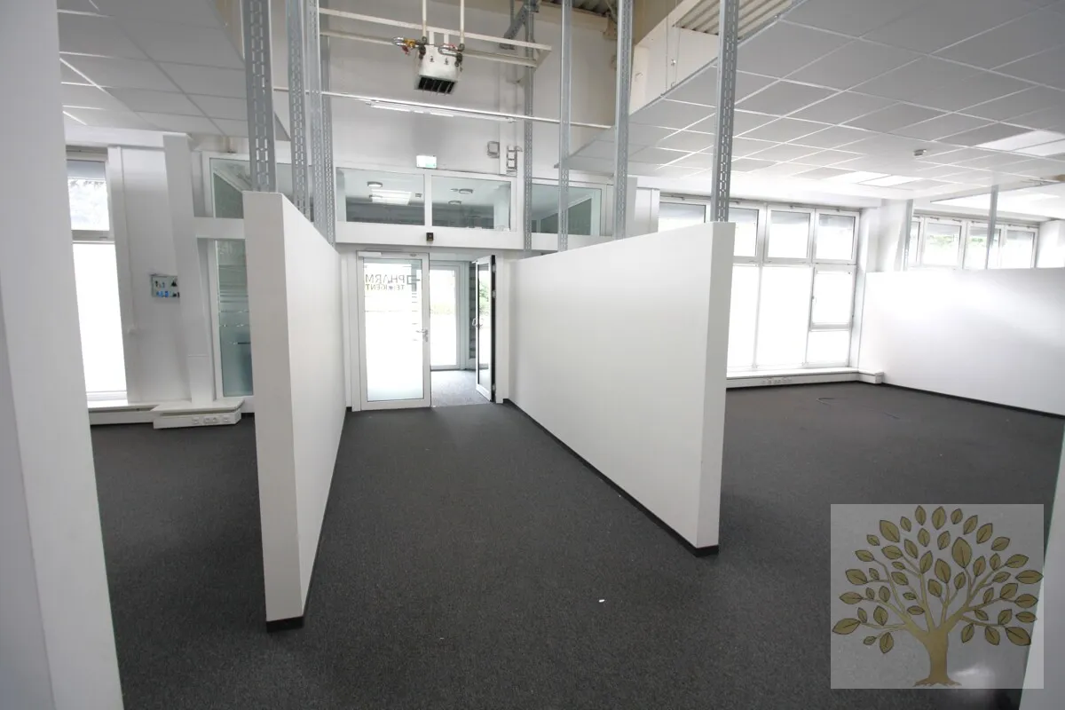 Großzügige Gewerbehalle in attraktiver Lage zu vermieten! - Ansicht 3