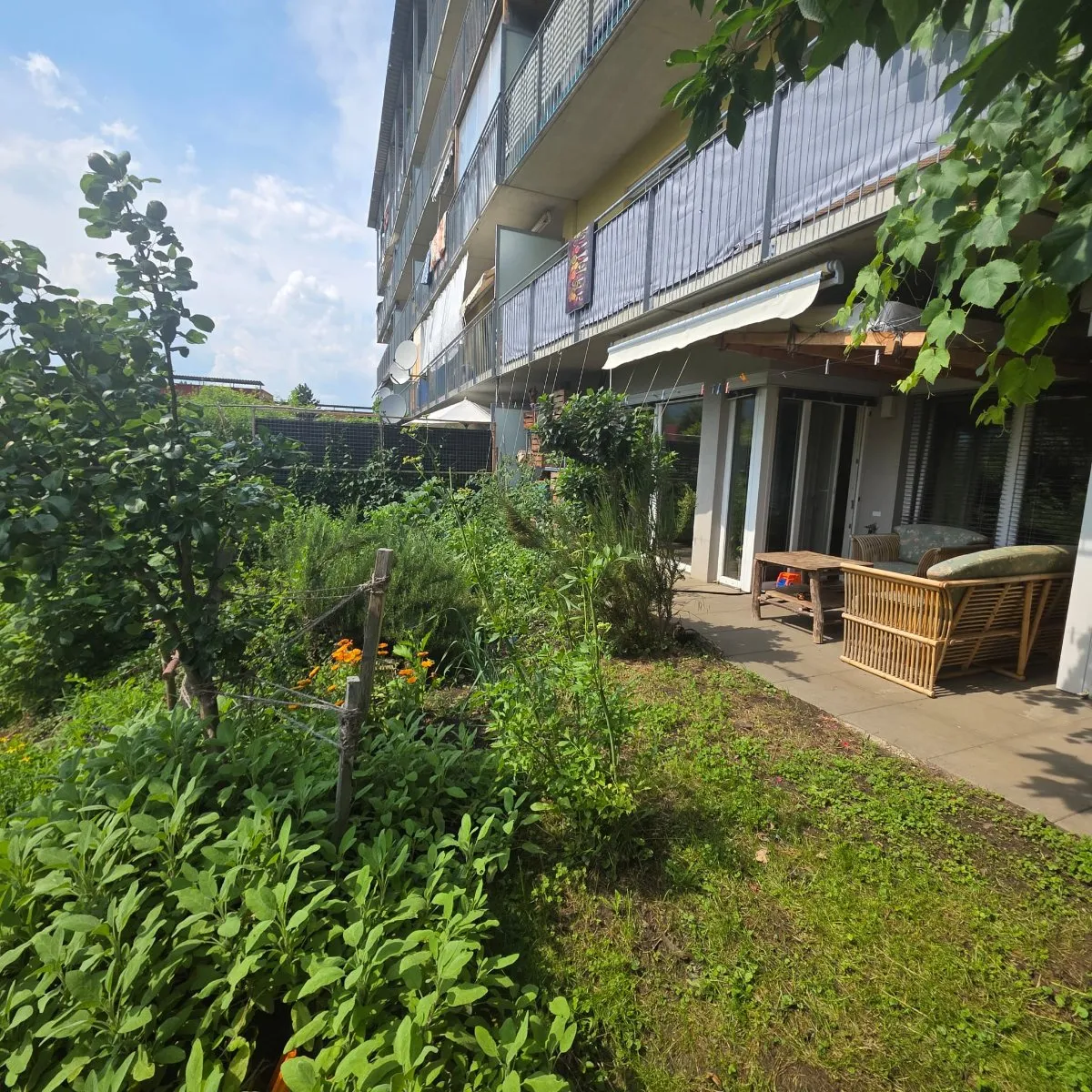 Wunderschöne Gartenwohnung- total zentral, doch vom Gefühl her wie am Land - Ansicht 2