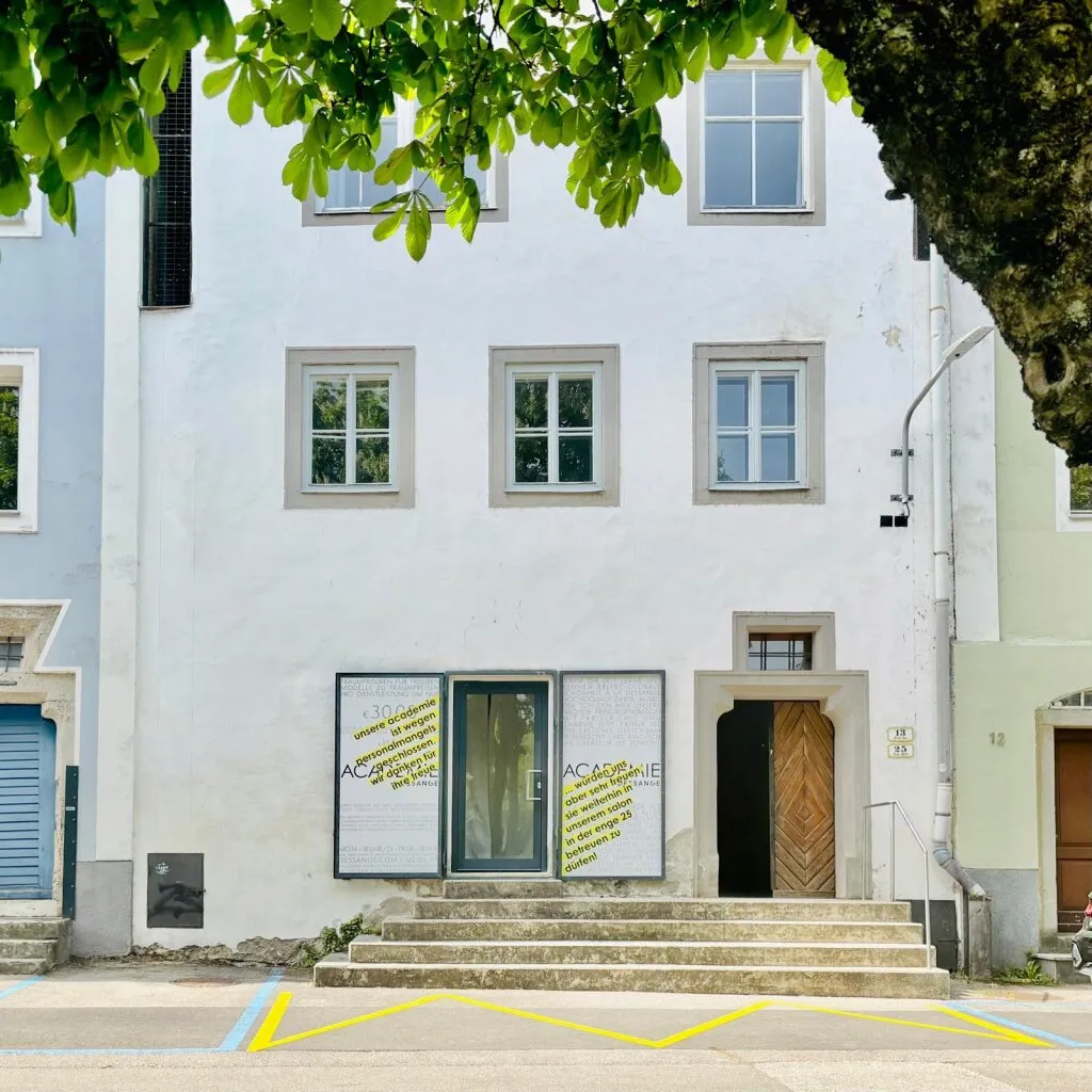 Zinshaus in Bestlage der Steyrer Altstadt – pohled 2