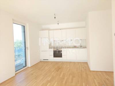 Endlich Zuhause Wohlfühlen! Moderne 3 - Zimmerwohnung. Adelheid-Popp-Gasse 10 ! Nachmietersuche ! – Bild 2