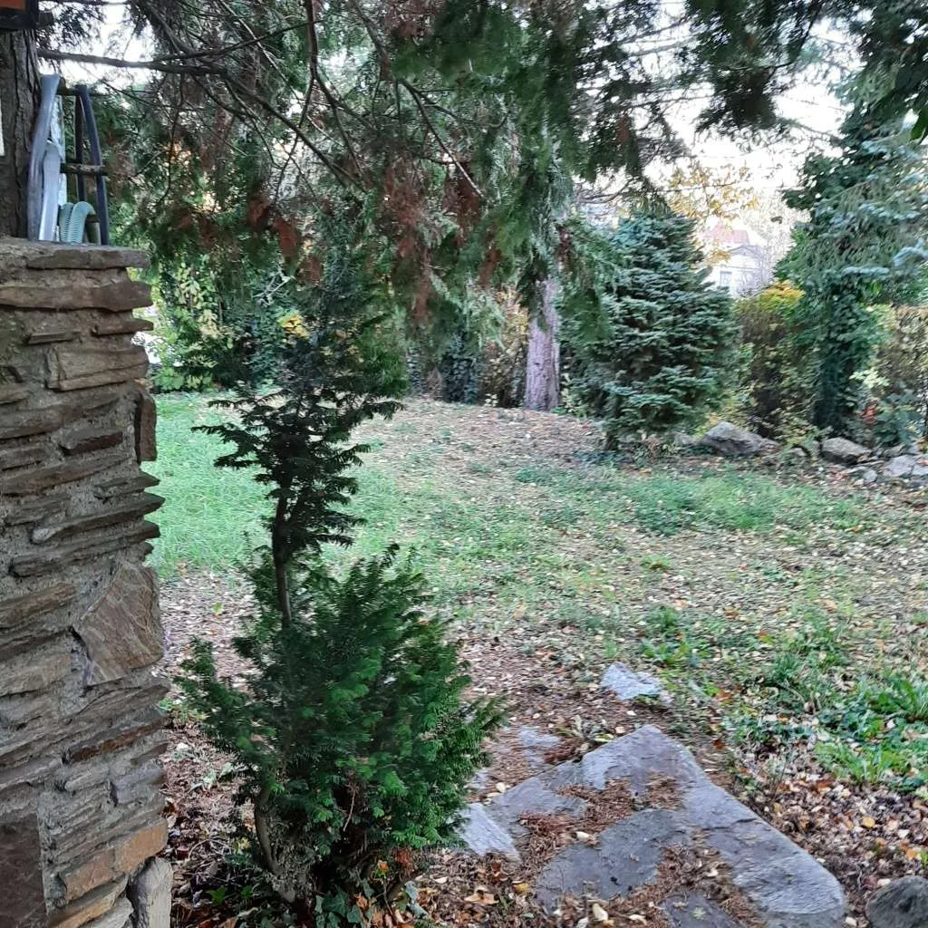 Gemeindeberg - Ober St. Veit Aussichtslage - Ansicht 3