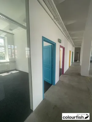 Gewerbeimmobilie mieten in Wien – 300 m², € 4.428 – Bild 4 von 11