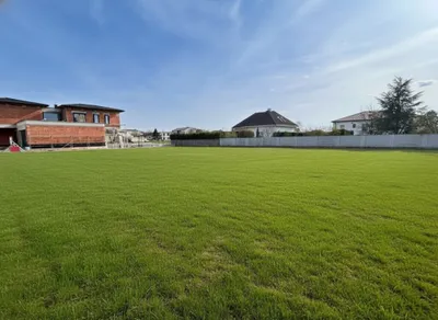 Grundstück kaufen in Neusiedl am See – 911 m², € 355.290 – Bild 3 von 4