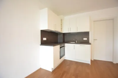 Wohnung zur Miete in 8055 Graz