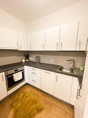 1-Zimmer-Wohnung mieten in Wien – 48,32 m², € 1.039 – Bild 3 von 10