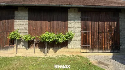3-Zimmer-Haus kaufen in Güssing – 97 m², € 164.000 – Bild 22 von 36