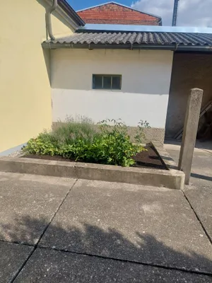 3-Zimmer-Haus mieten in Neusiedl am See – 100 m², € 950 – Bild 17 von 18