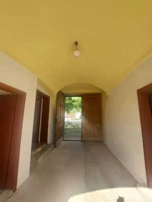 3-Zimmer-Haus mieten in Neusiedl am See – 100 m², € 950 – Bild 3 von 18
