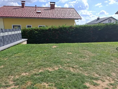 5-Zimmer-Haus kaufen in Zwettl – 130 m², € 195.000 – Bild 13 von 18