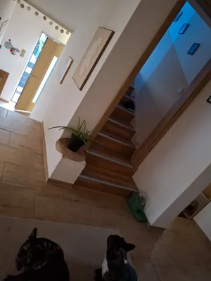 5-Zimmer-Haus kaufen in Zwettl – 130 m², € 195.000 – Bild 7 von 18
