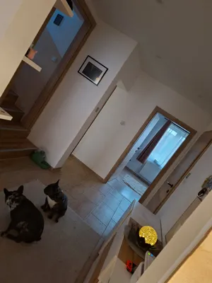 5-Zimmer-Haus kaufen in Zwettl – 130 m², € 195.000 – Bild 8 von 18