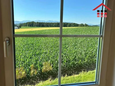 4-Zimmer-Haus kaufen in Vöcklabruck – 135 m², € 479.000 – Bild 7 von 15