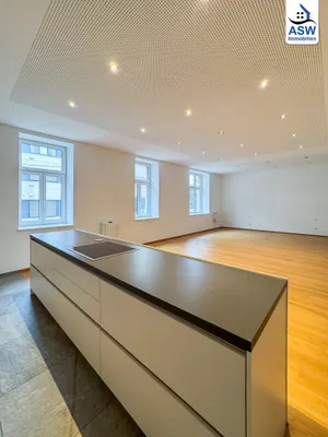 2-Zimmer-Wohnung kaufen in Linz – 114,77 m², € 380.000