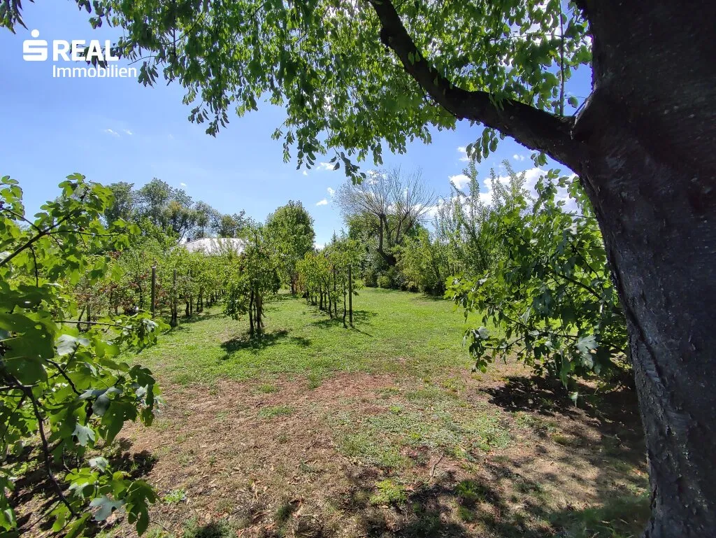 Außergewöhnliches Naturparadies in Bad Vöslau - Ansicht 3