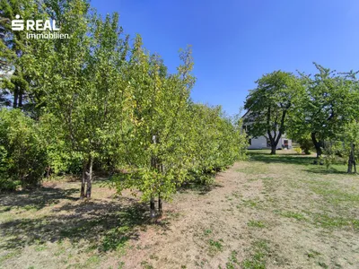 Grundstück kaufen in Baden – 2 025 m², € 620.000 – Bild 10 von 24