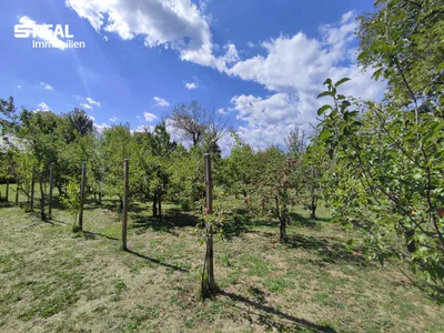 Grundstück kaufen in Baden – 2 025 m², € 620.000 – Bild 5 von 24