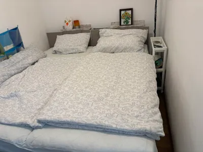 Lichtdurchflutete freundliche Wohnung sucht Nachmieter – Bild 2