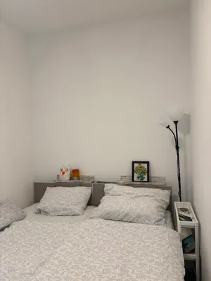 Lichtdurchflutete freundliche Wohnung sucht Nachmieter – Bild 3