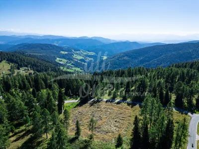 Grundstück kaufen in Feldkirchen – 4 767 m², € 757.000 – Bild 5 von 8