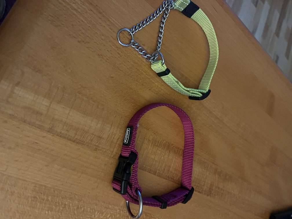 AniOne Halsband fr Hunde,  7,- (1020 Wien) - willhaben