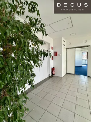 Gewerbeimmobilie mieten in Wien – 497 m², € 14 – Bild 18 von 34
