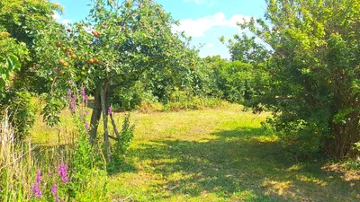 4-Zimmer-Haus kaufen in Sankt Pölten Land – 131 m², € 249.000 – Bild 12 von 45