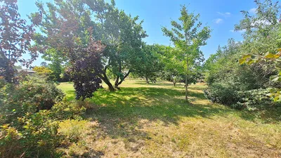 4-Zimmer-Haus kaufen in Sankt Pölten Land – 131 m², € 249.000 – Bild 35 von 45