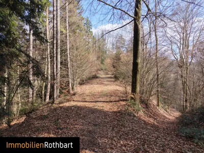 Grundstück kaufen in Weiz – 190 000 m², € 390.000 – Bild 18 von 20