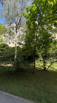 3-Zimmer-Wohnung mieten in Wien – 75 m², € 1.306 – Bild 11 von 11