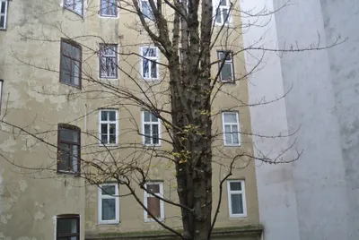 3-Zimmer-Wohnung kaufen in Wien – 101,72 m², € 649.000 – Bild 5 von 18