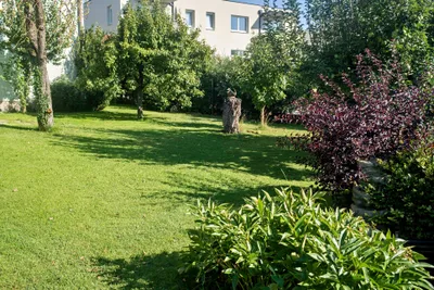 8-Zimmer-Gewerbeimmobilie mieten in Melk – 140 m², € 1.250 – Bild 14 von 17