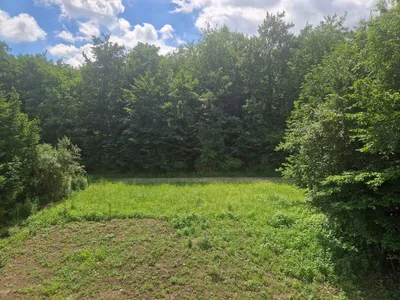 3-Zimmer-Wohnung mieten in Steyr – 83 m², € 1.488 – Bild 4 von 22