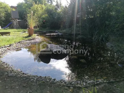 Haus kaufen in Wiener Neustadt Land – 135 m², € 569.000 – Bild 7 von 8