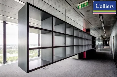 Gewerbeimmobilie mieten in Wien – 257 m², € 6.656 – Bild 4 von 5