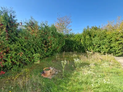 5-Zimmer-Haus kaufen in Linz – 97,49 m², € 514.000 – Bild 18 von 27