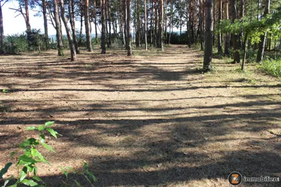Grundstück kaufen in Oberwart – 1 600 m², € 51.200 – Bild 3 von 4