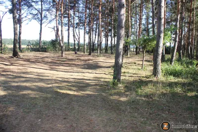 Grundstück kaufen in Oberwart – 1 600 m², € 51.200 – Bild 2 von 4